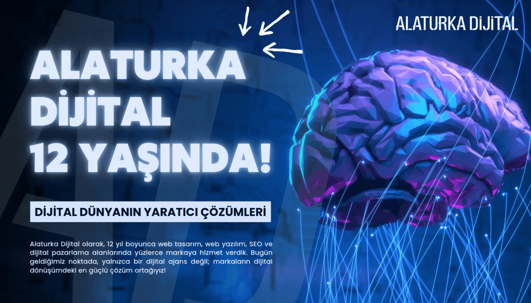 Alaturka Dijital 12 Yaşında! 
